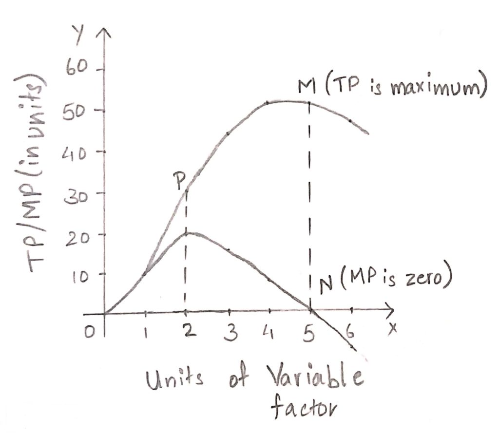 Relationship Between Total Product Average Product and Marginal Product