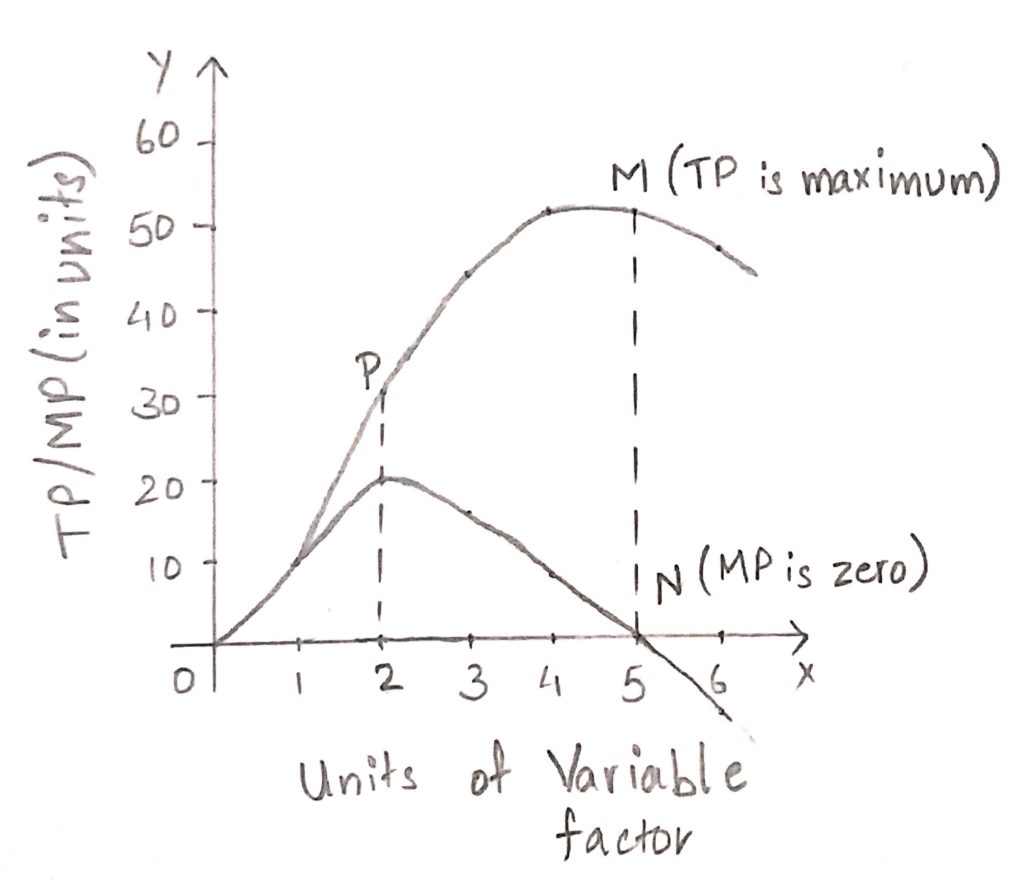 Relationship Between Total Product Average Product And Marginal Product 