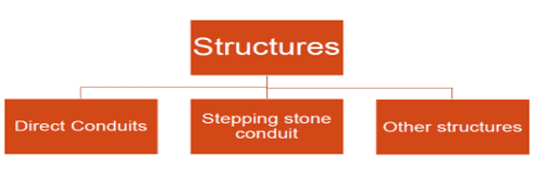 Treaty Shopping Structure