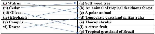 NCERT Solutions for Class 7 Geography Chapter 6 - Natural Vegetation and Wild Life Match the column