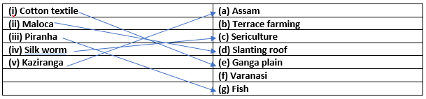 NCERT Solutions for Class 7 Geography Chapter 8 - Human Environment Interactions - Match the following