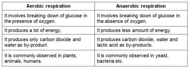 NCERT Solutions for Class 7 Science Chapter 10 - Respiration in ...