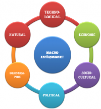 Business Environment Class 12 Notes - Features and Importance of ...