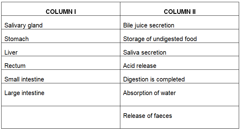 NCERT Solutions for Class 7 Science Chapter 2 - Nutrition in Animals ...