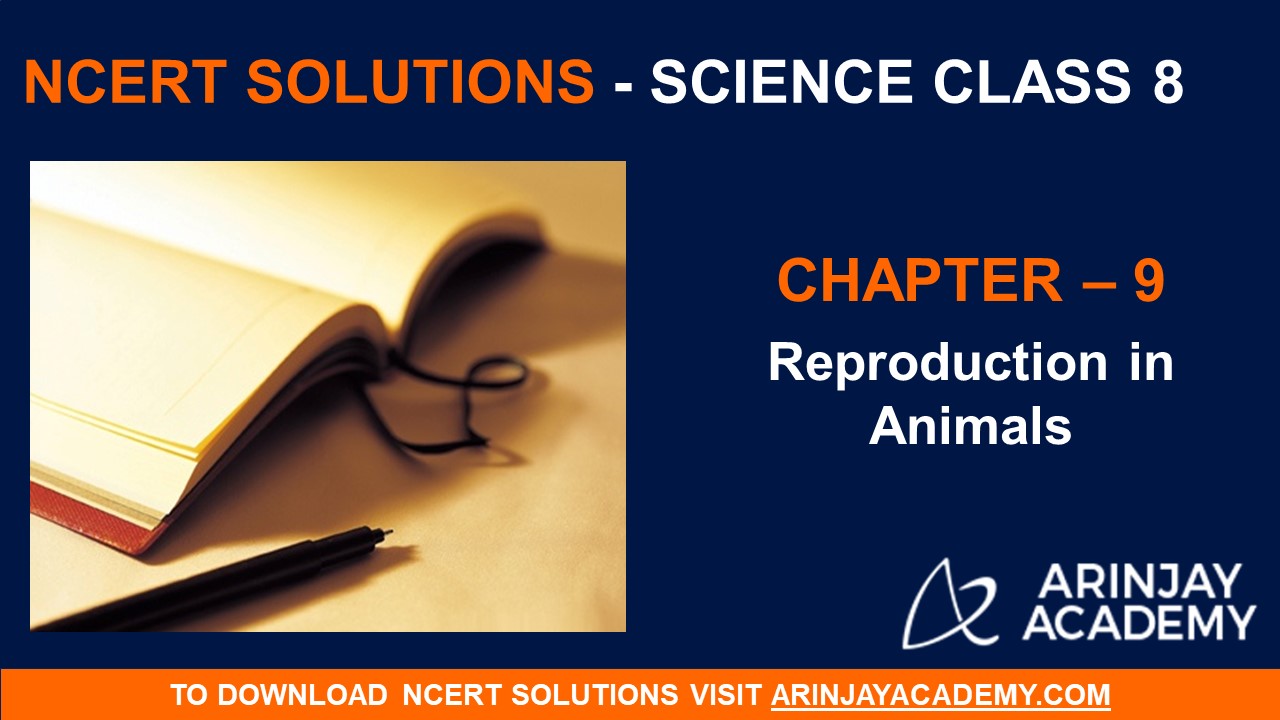 NCERT Solutions for Class 8 Science Chapter 9 – Reproduction in Animals -  Arinjay Academy