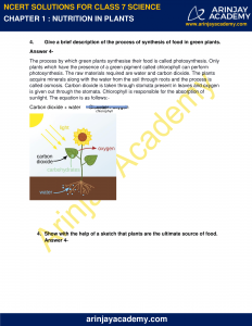 NCERT Solutions for Class 7 Science Chapter 1 - Nutrition in Plants ...