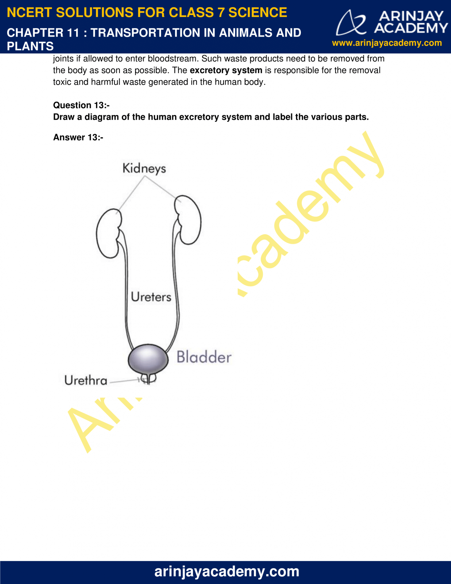 Class 7 Science Excretion And Transportation In Plants Chapter_6 To