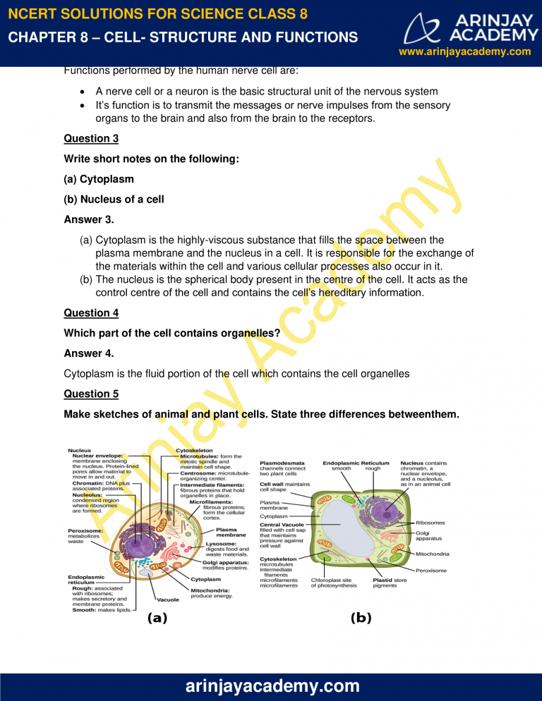 NCERT Solutions for Class 8 Science Chapter 8 - Cell Structure and