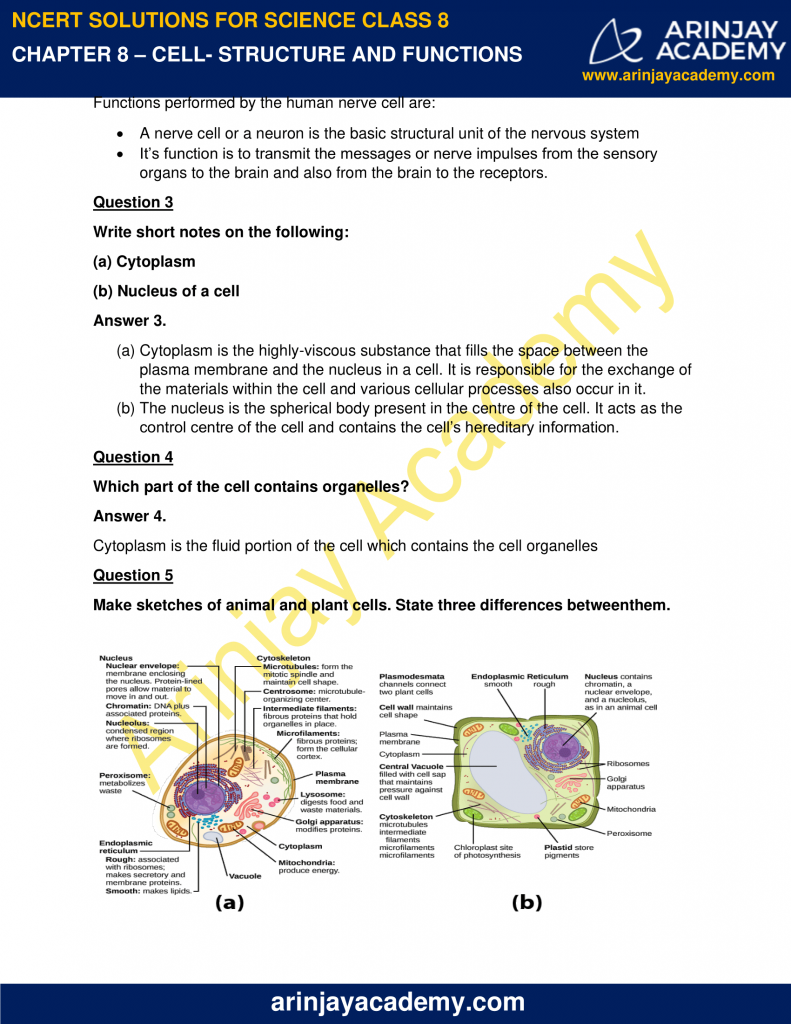 case study questions class 8 science cell structure and function