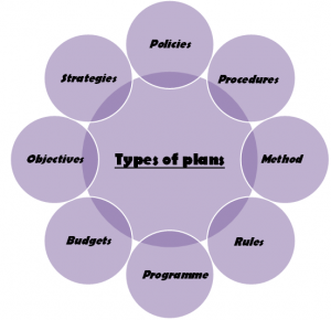 Types of Planning Class 12 Notes Chapter 4 PDF | Types of plans in Planning