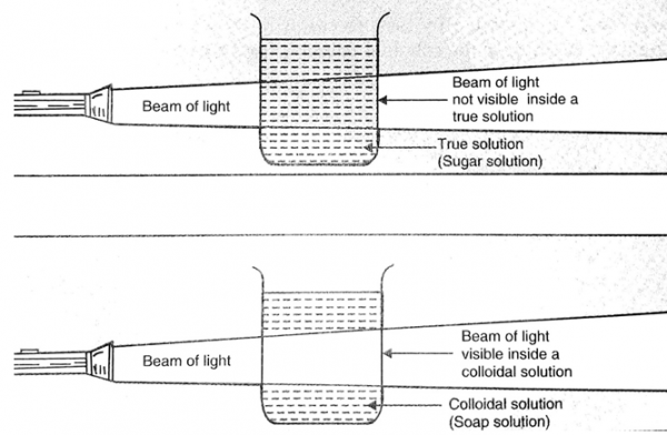 what-is-a-colloidal-solution-science-class-9-arinjay-academy