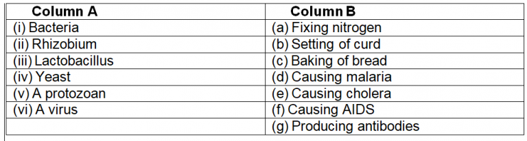 NCERT Solutions For Class 8 Science Chapter 2 Microorganisms Friend And Foe Arinjay Academy