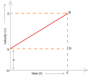 Graphical Representation of Equation of Motion Class 9 - Arinjay Academy