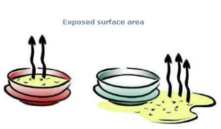 Surface area of the liquid - Factors Affecting Evaporation