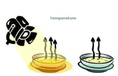Temperature - Factors Affecting Evaporation
