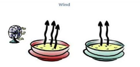 Wind speed - Factors Affecting Evaporation