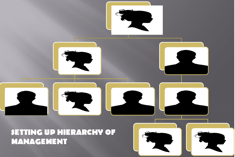 setting up hierarchy of management - Organizing