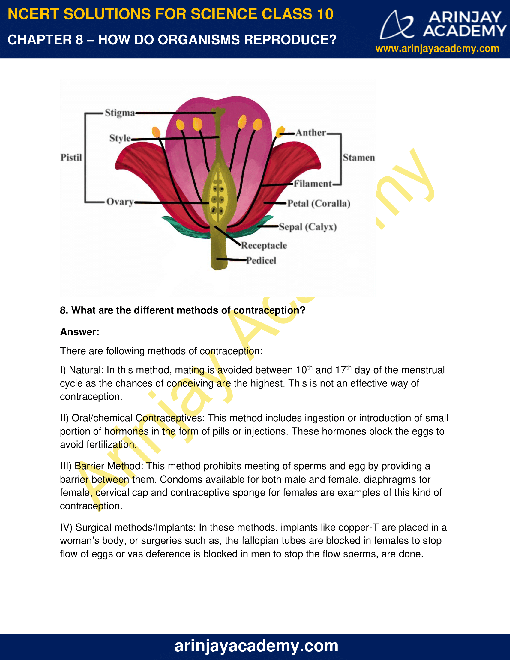 Ncert Solutions For Class 10 Science Chapter 8 How Do 9508