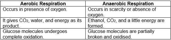 What Is The Difference Between Aerobic And Anaerobic