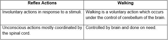 actimeter-difference-between-walking-and-in-wheelchair-crtrixy