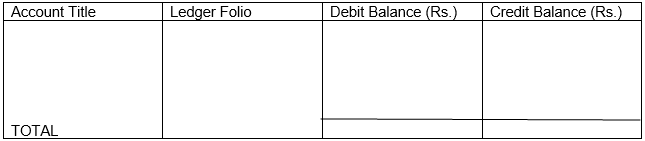 Format of Trial Balance 