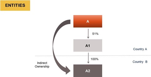 Applicability to the case of Separate Group Companies