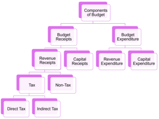 COMPONENTS OF THE BUDGET