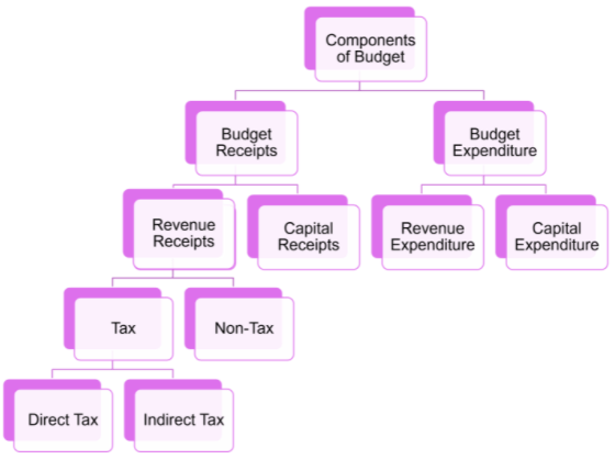 Government Budget and the Economy Class 12 Notes CBSE Macro