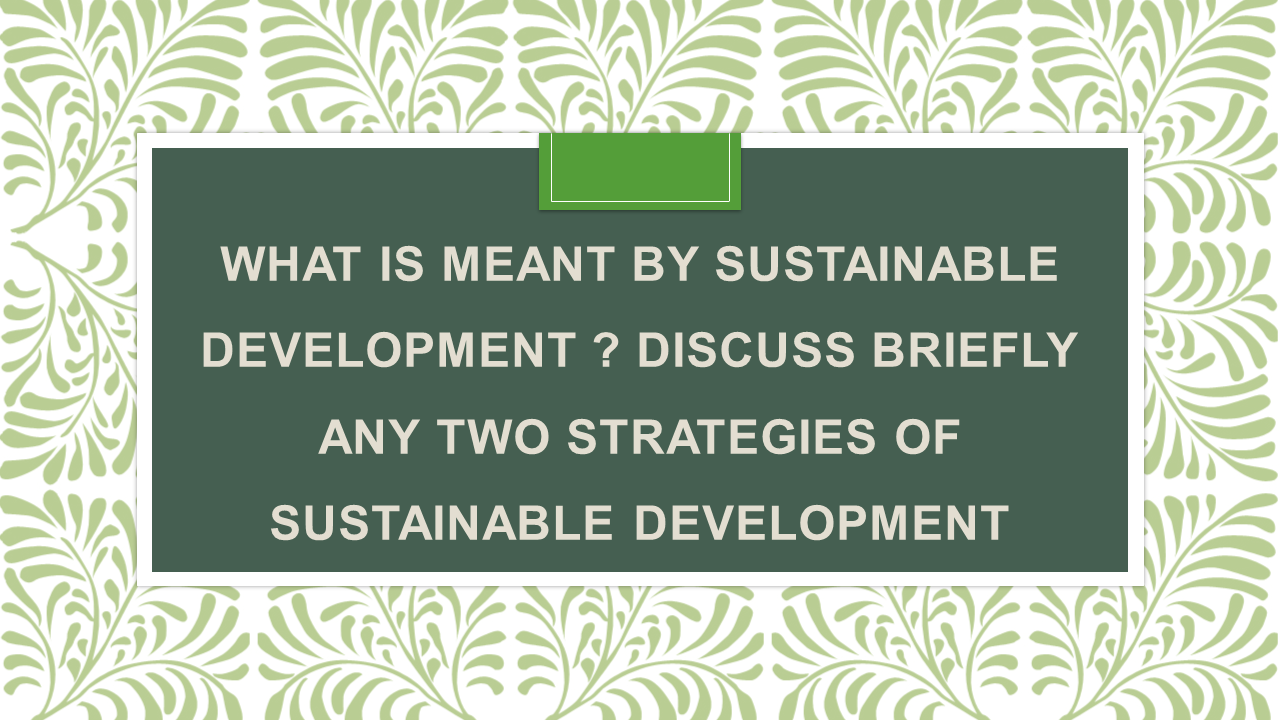 what-is-meant-by-sustainable-development-discuss-briefly-any-two